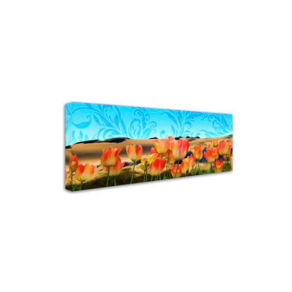 Tina Lavoie 'Painted Sky Panorama' Canvas Art,10x24